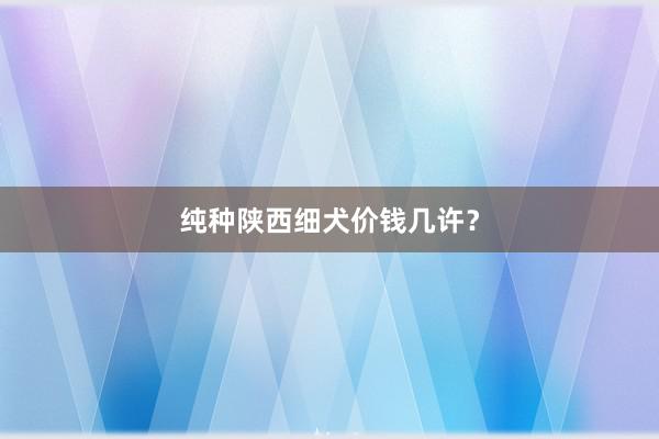 纯种陕西细犬价钱几许？